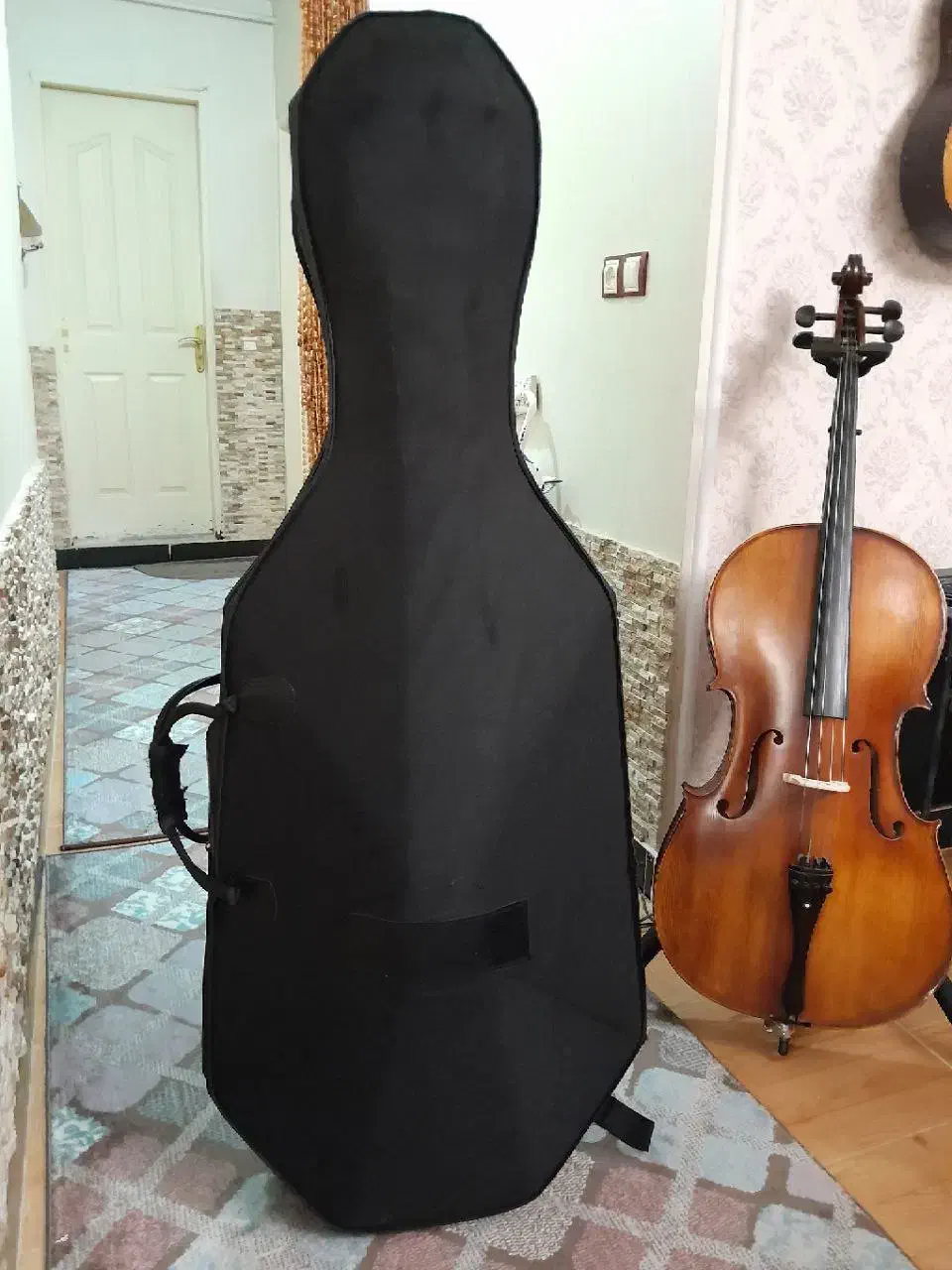 هارد کیس ویولنسل|ویولن|رشت, نظری|دیوار