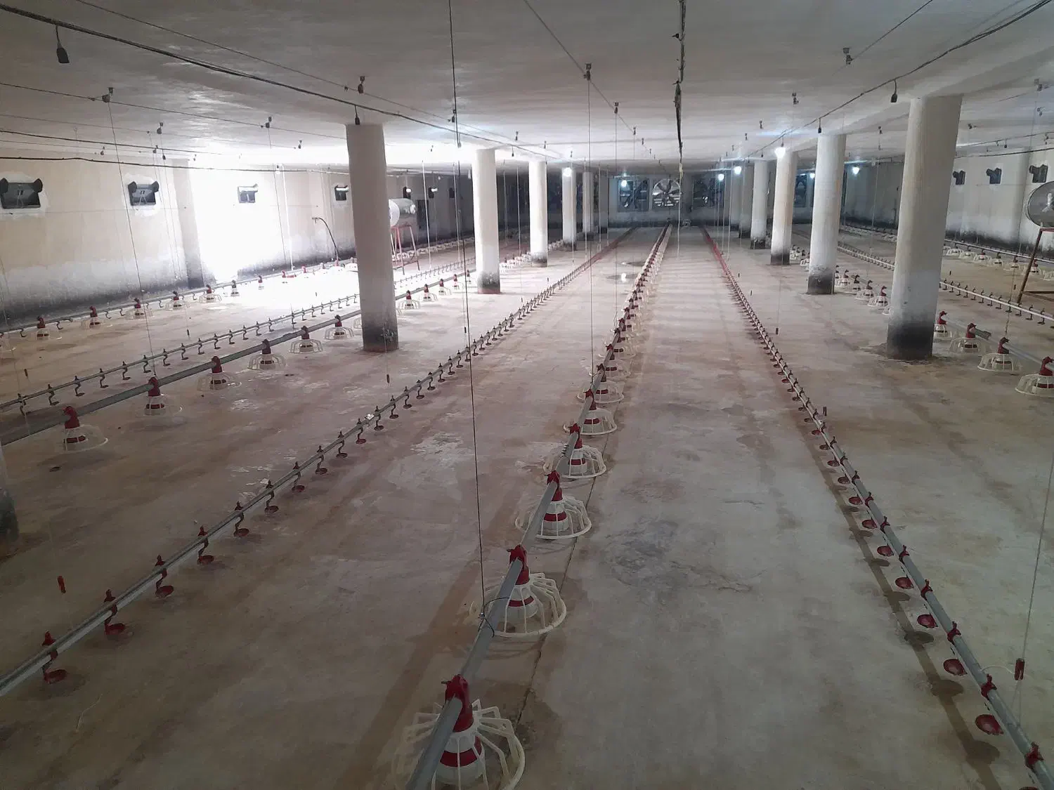 لوازم مرغداری کلیه تجهیزات|ماشین‌آلات صنعتی|لوشان, |دیوار