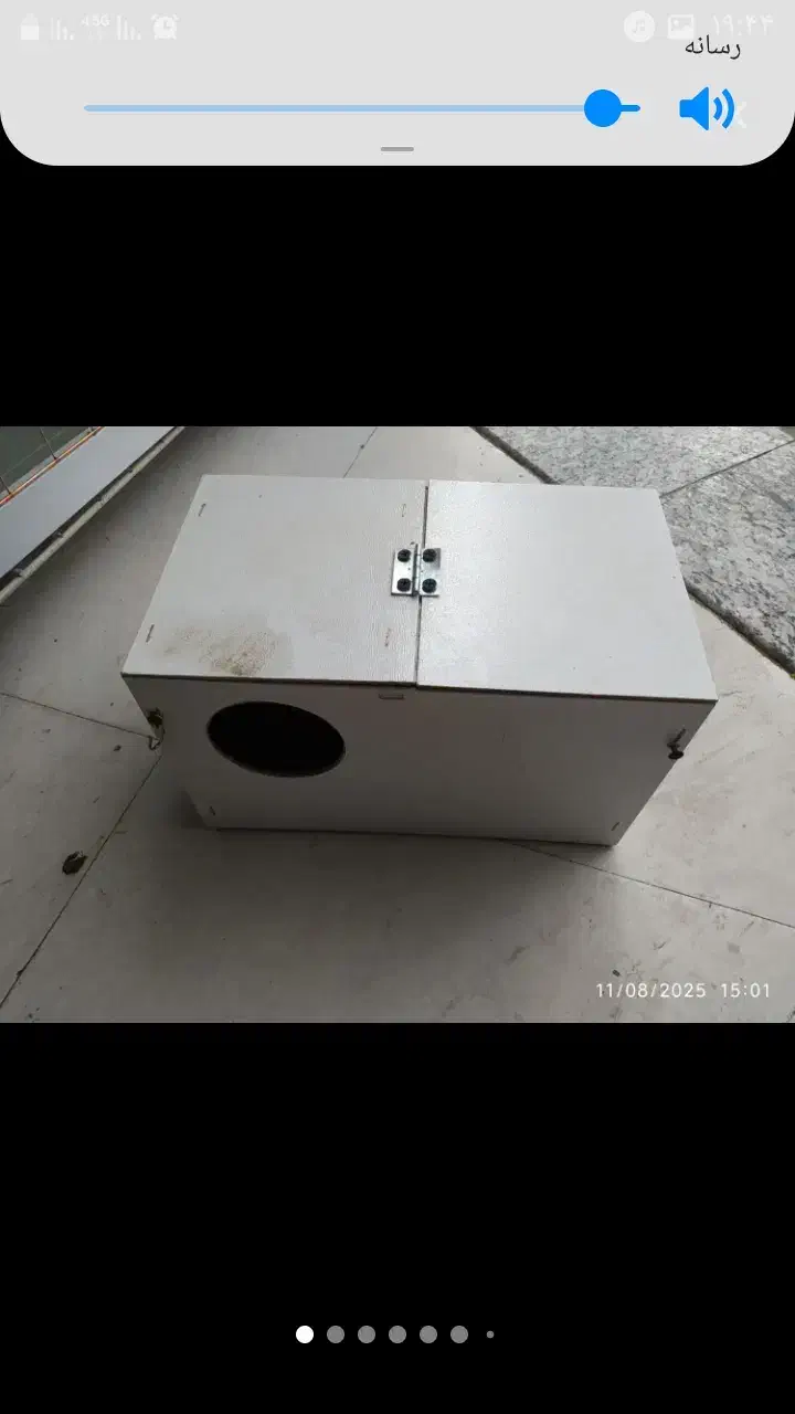 لوونه|لوازم جانبی حیوانات|سبزوار, باهنر|دیوار