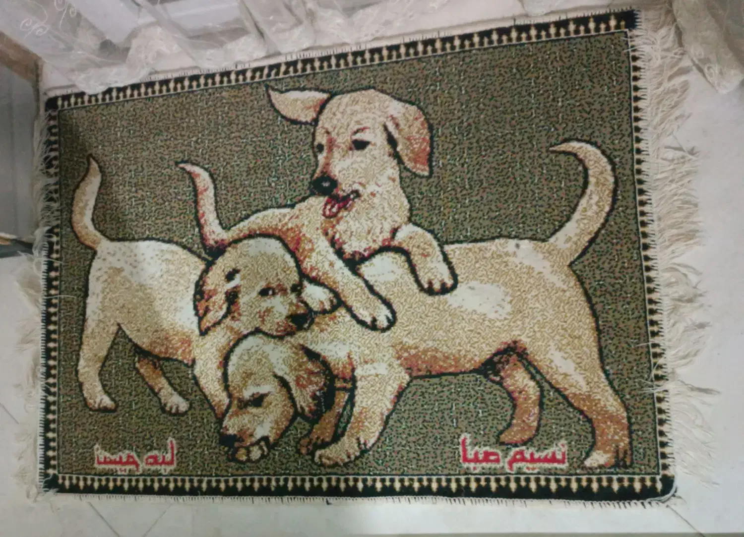 دو عددفرشینه قالیچه،پادری عروسکی|پادری|بجنورد, |دیوار