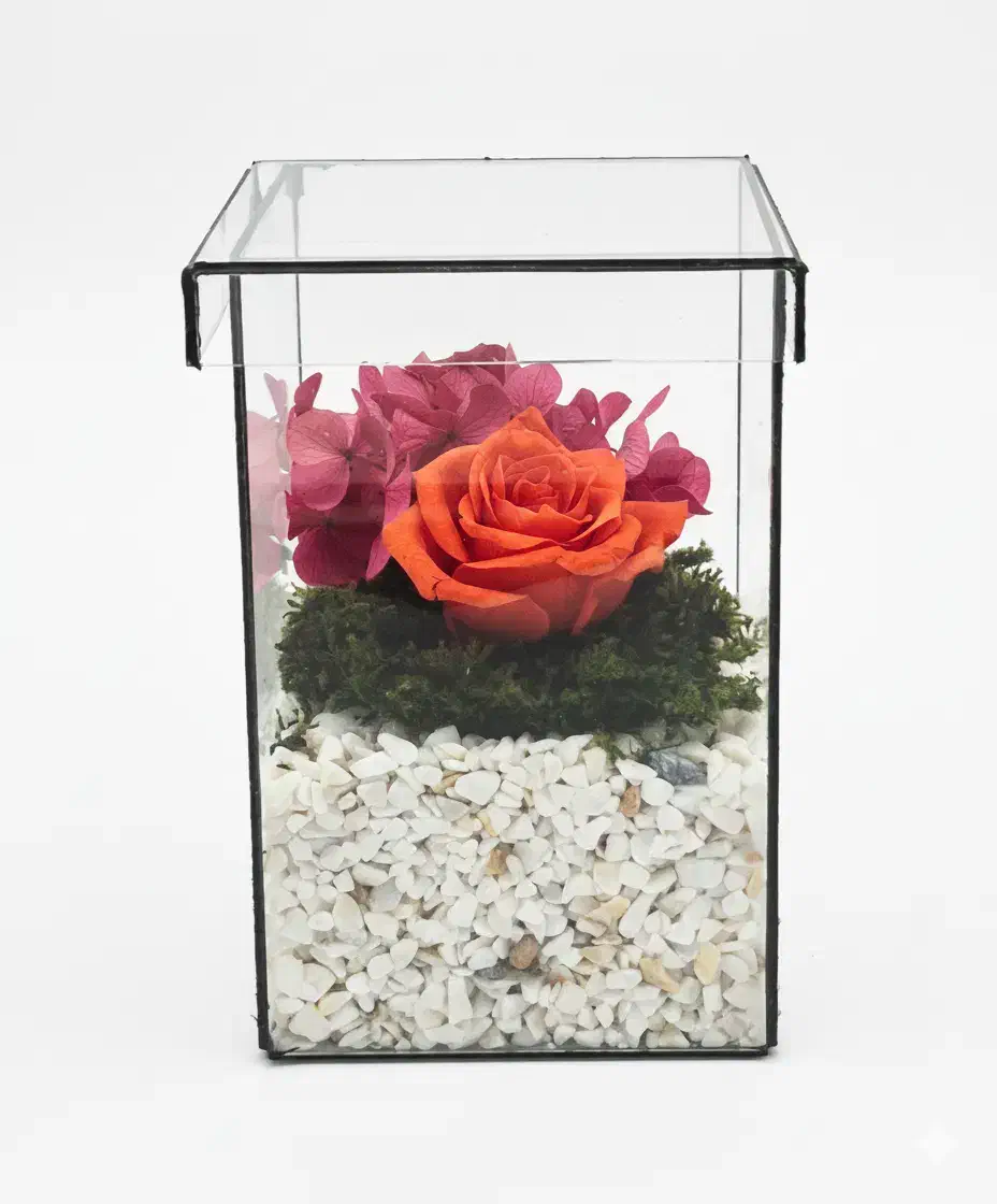 رز جاودان هدیه روز زن گیفت شرکتی|گل و گیاه طبیعی|تهران, ابوذر|دیوار