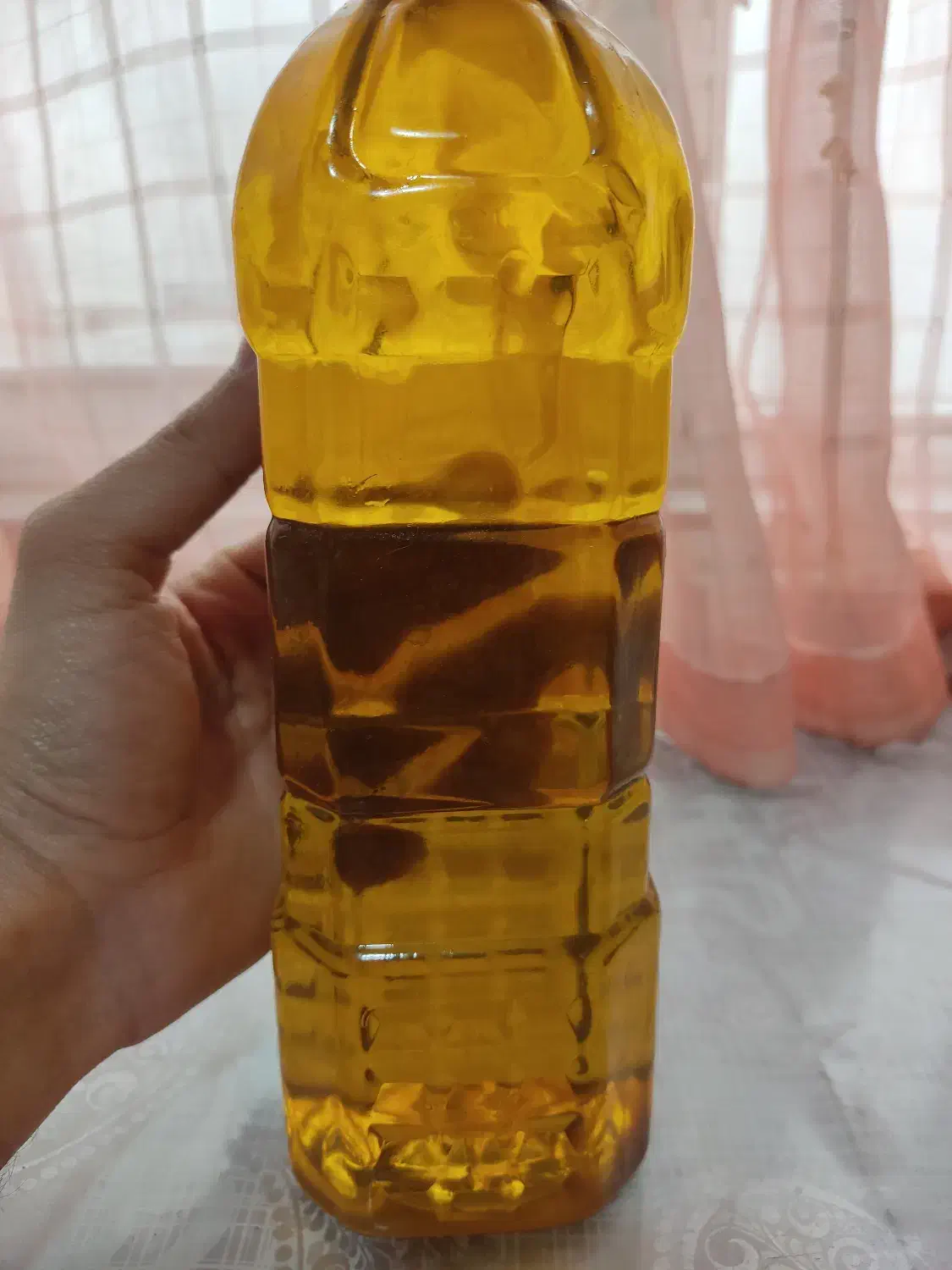 روغن زیتون ارگانیک طارم|خوردنی و آشامیدنی|قزوین, |دیوار