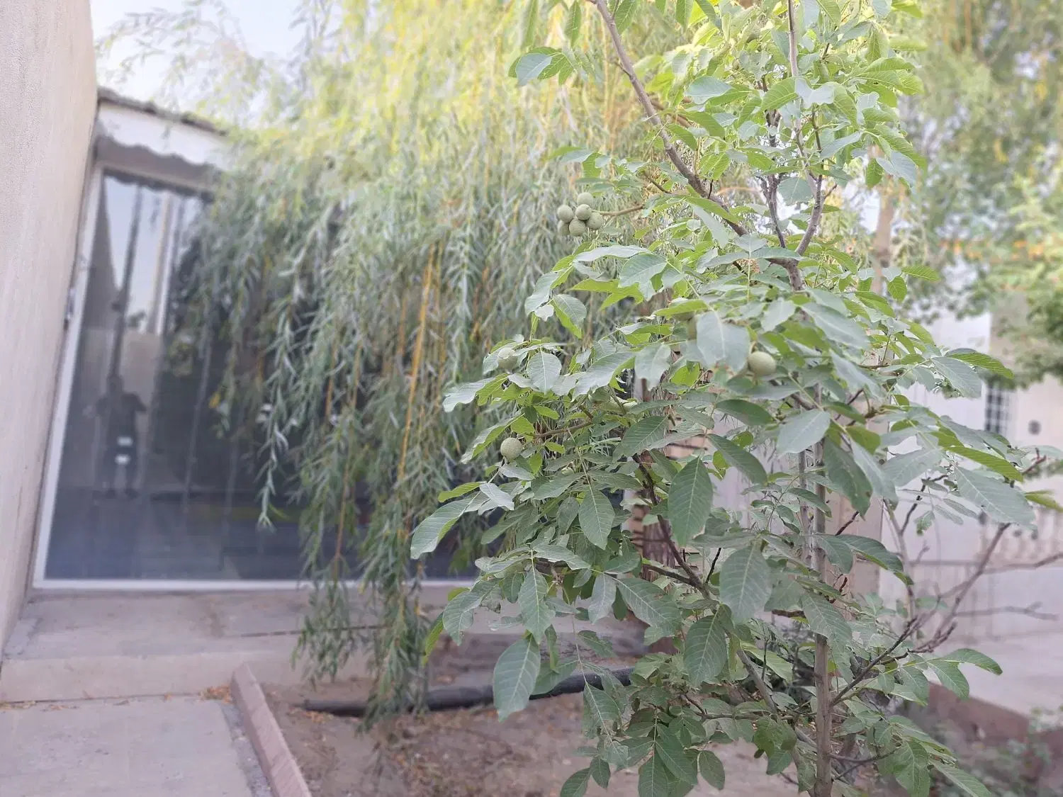 تصویر 5