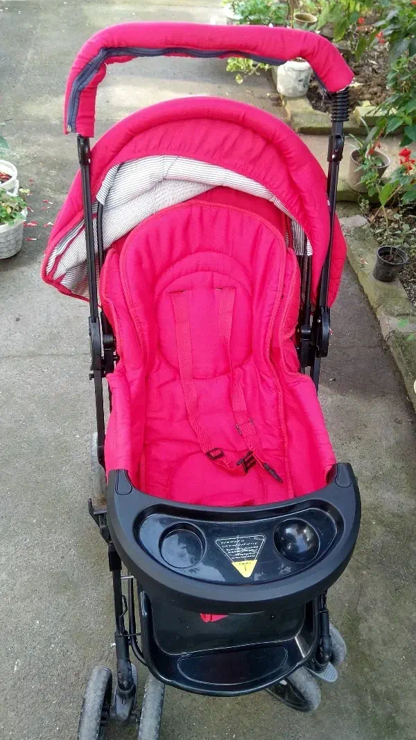 کالسکه دلیجان|کالسکه و لوازم جانبی|بندر انزلی, ساحل قو|دیوار