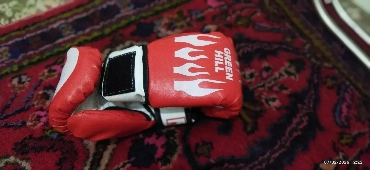 دستکش بوکس|تجهیزات ورزشی|قم, چهل درخت‎|دیوار