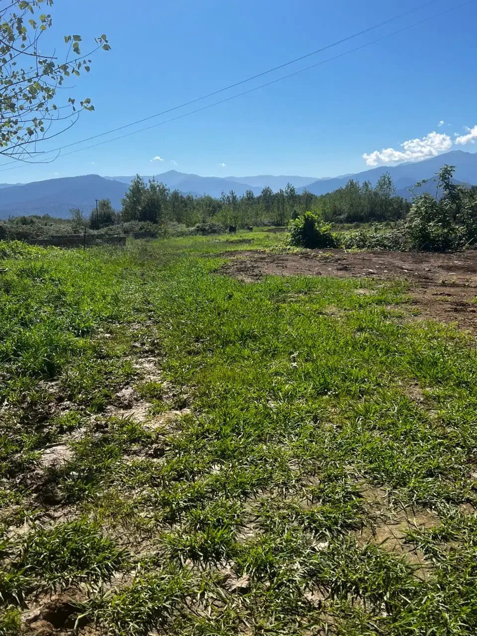 زمین بایر در روستای احمد سر گوراب|فروش زمین و ملک کلنگی|احمدسرگوراب, |دیوار