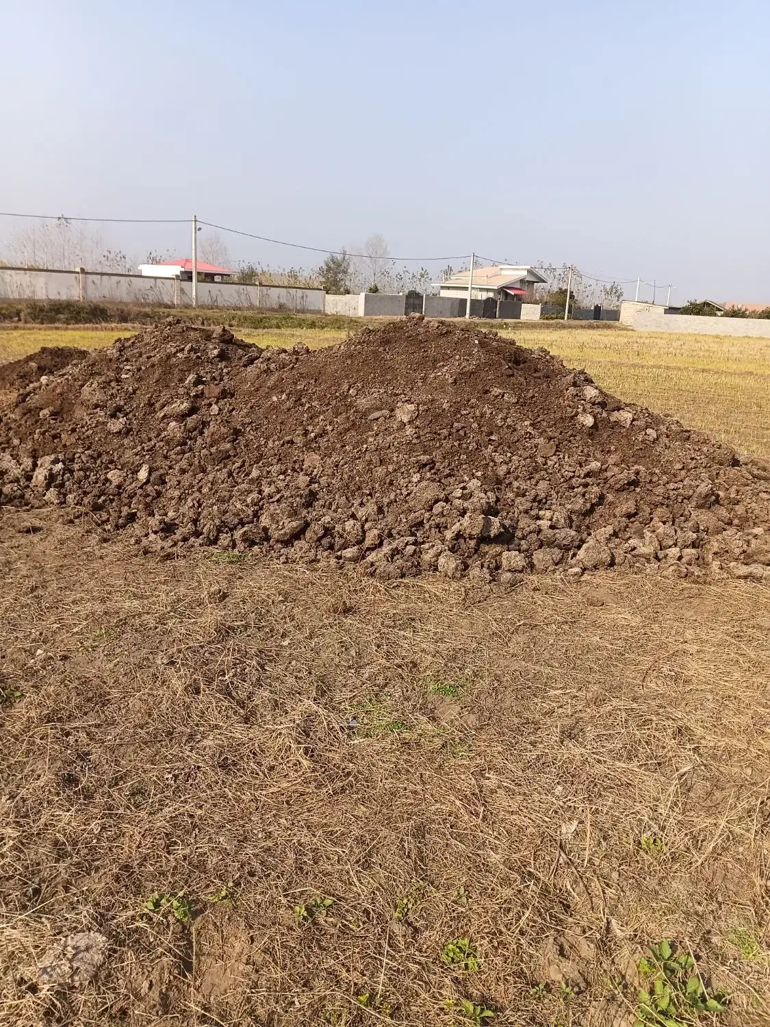 خاک باغچه کود حیوانی خاک برگ....|خدمات باغبانی و درختکاری|چاف و چمخاله, |دیوار