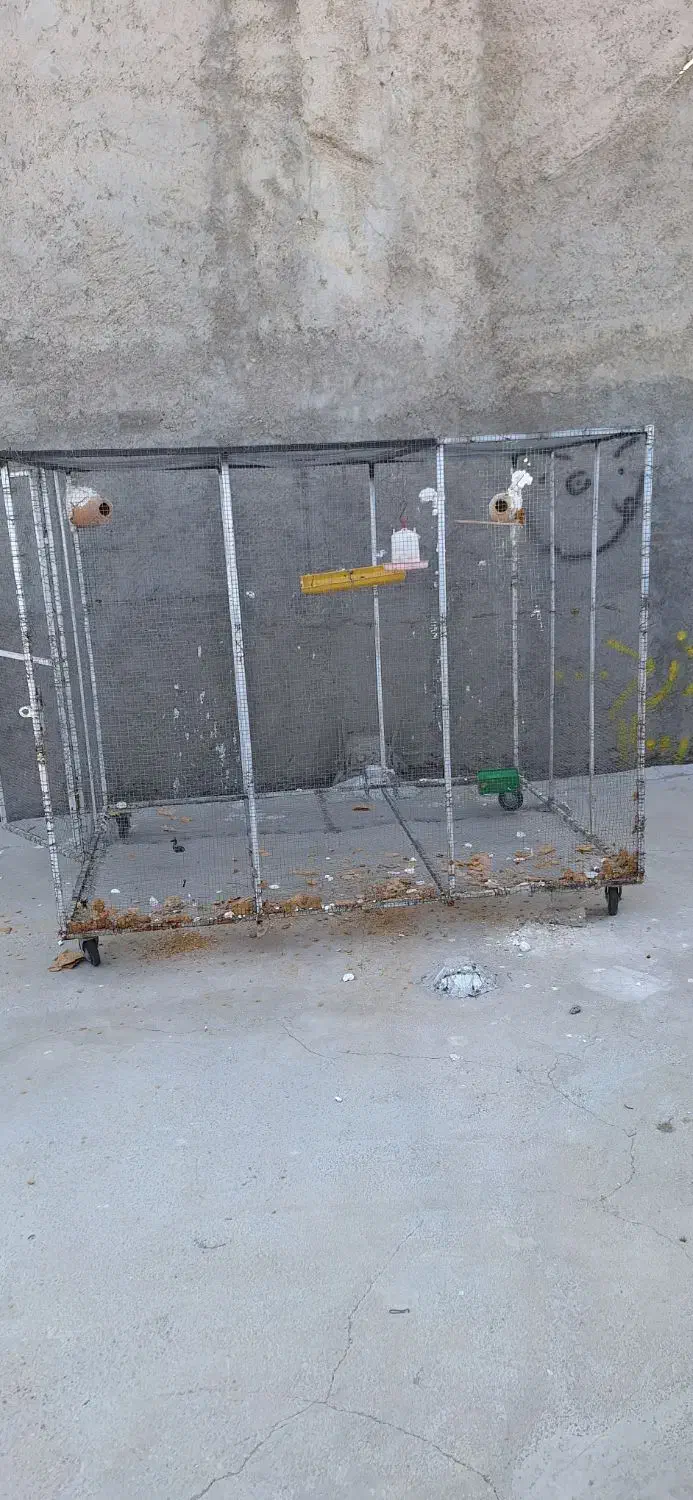 قفس پرنده‌ و مرغ و خروس|لوازم جانبی حیوانات|لامرد, |دیوار