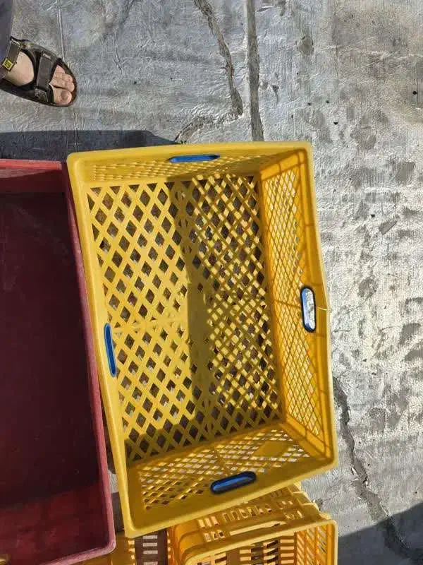 20 لیتری آب و سبد بزرگ|ظروف نگهدارنده، پلاستیکی، یک‌بارمصرف|مشهد, خواجه ربیع|دیوار