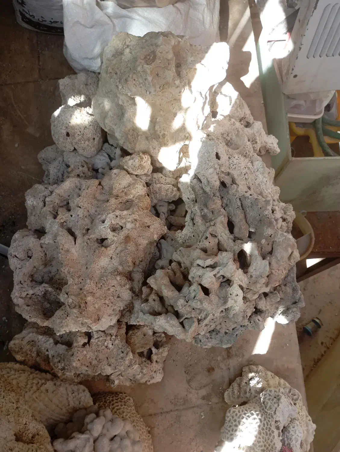 آکواریوم ومتعلقات|ماهی|صدرا-فارس, فاز ۱|دیوار