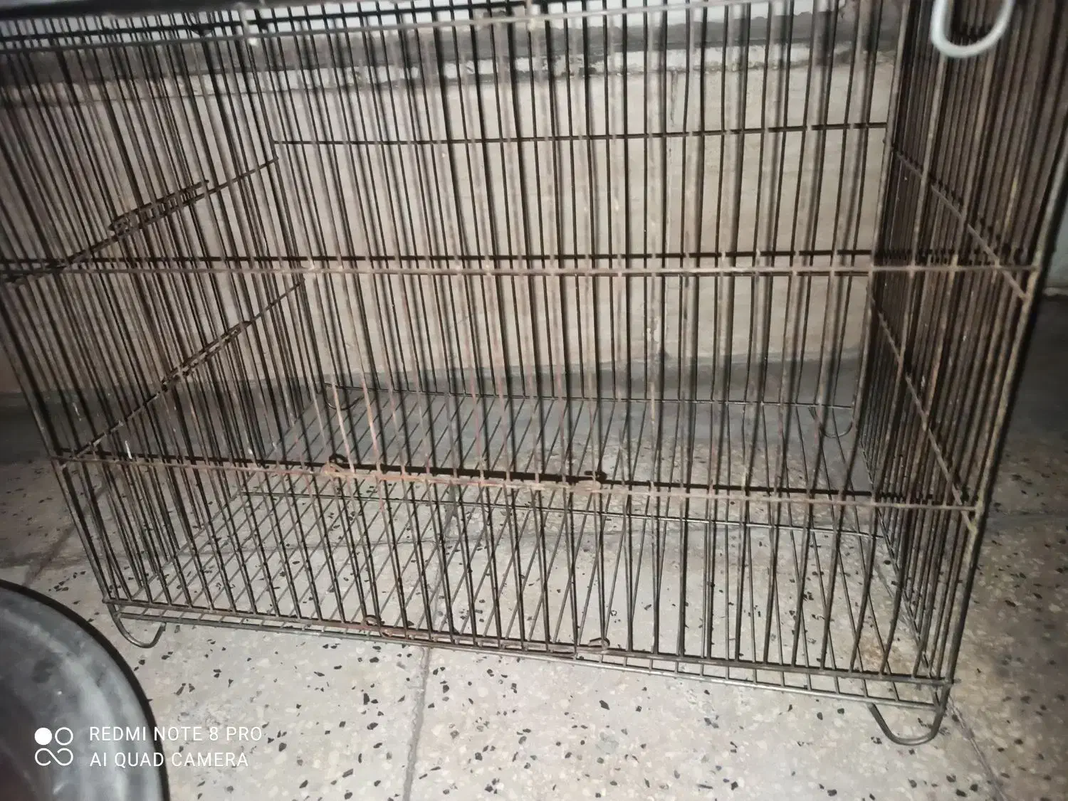 قفس|لوازم جانبی حیوانات|نسیم‌شهر, |دیوار