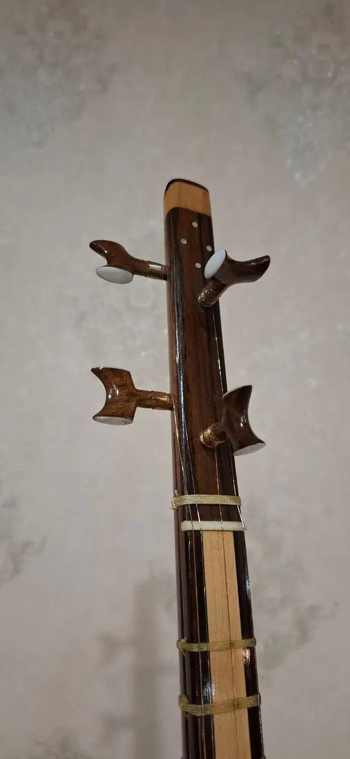 سه تار حرفه ای بوریایی|سازهای سنتی|رباطکریم, رباطکریم|دیوار