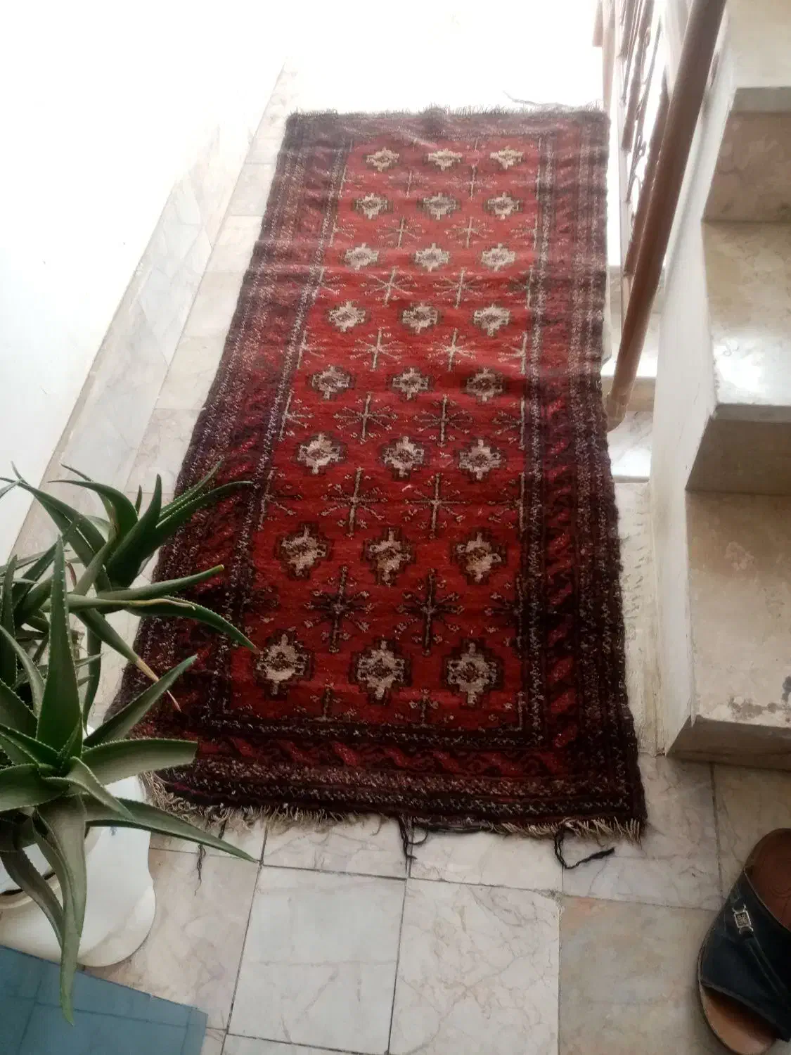 قالیچه|فرش|مشهد, هنرور|دیوار