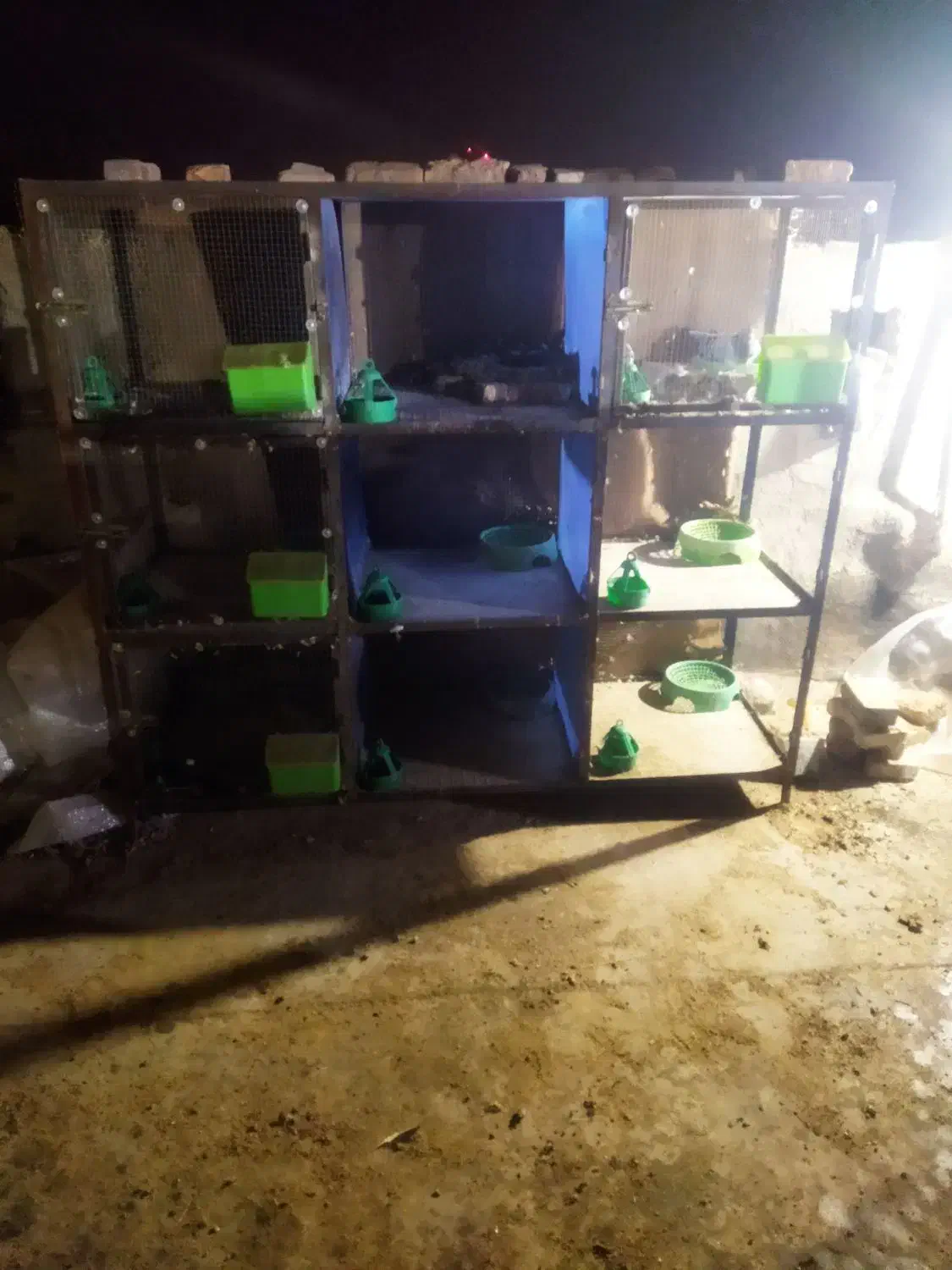 قفس در لوازم جانبی حیوانات|لوازم جانبی حیوانات|سبزوار, طبرسی (جعفرآباد)|دیوار