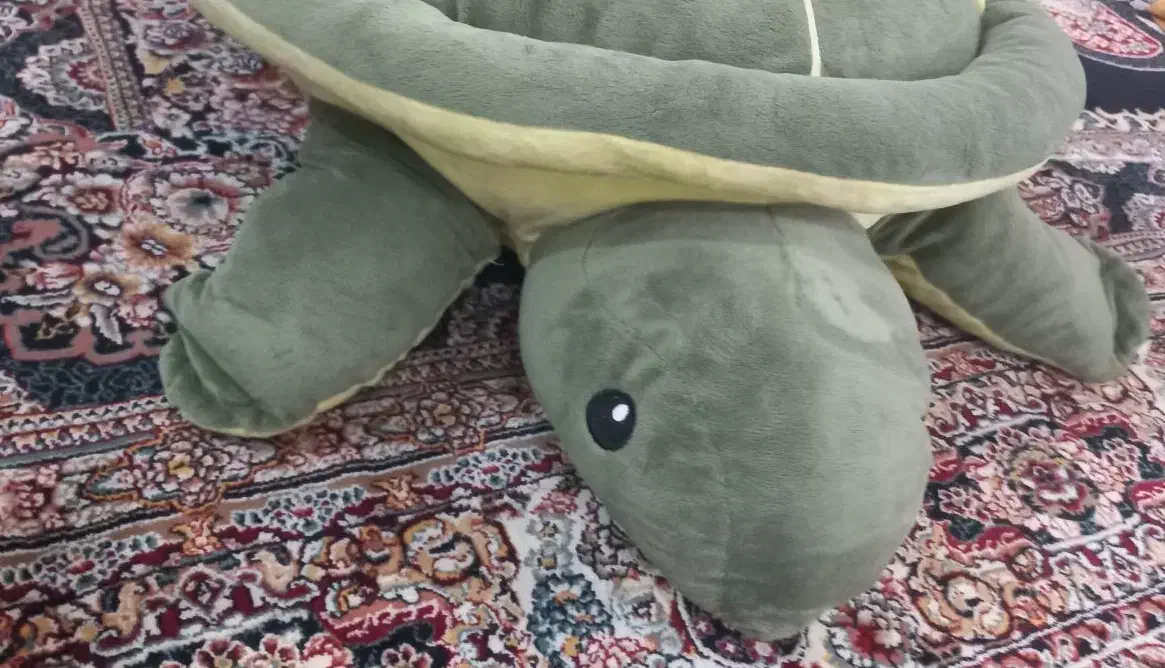 لاک پشت جنس عالی|اسباب‌‌بازی|فشاپویه, |دیوار