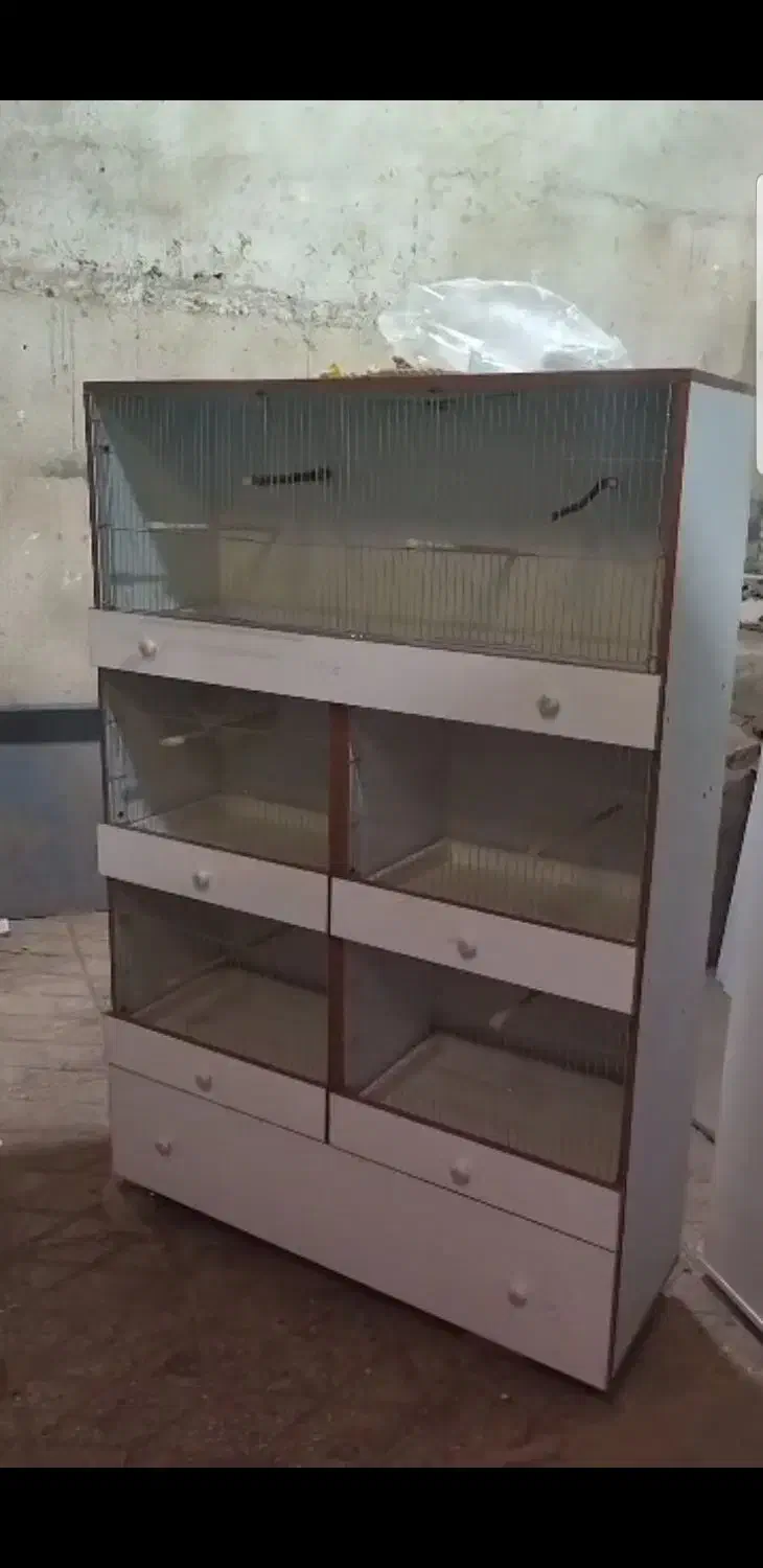 قفس اروپایی قناری|لوازم جانبی حیوانات|تهران, نیروی دریایی|دیوار