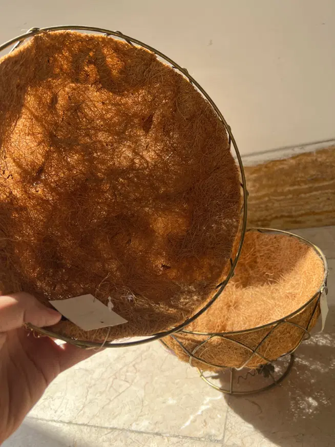 سبد|ظروف سرو و پذیرایی|تهران, کن|دیوار