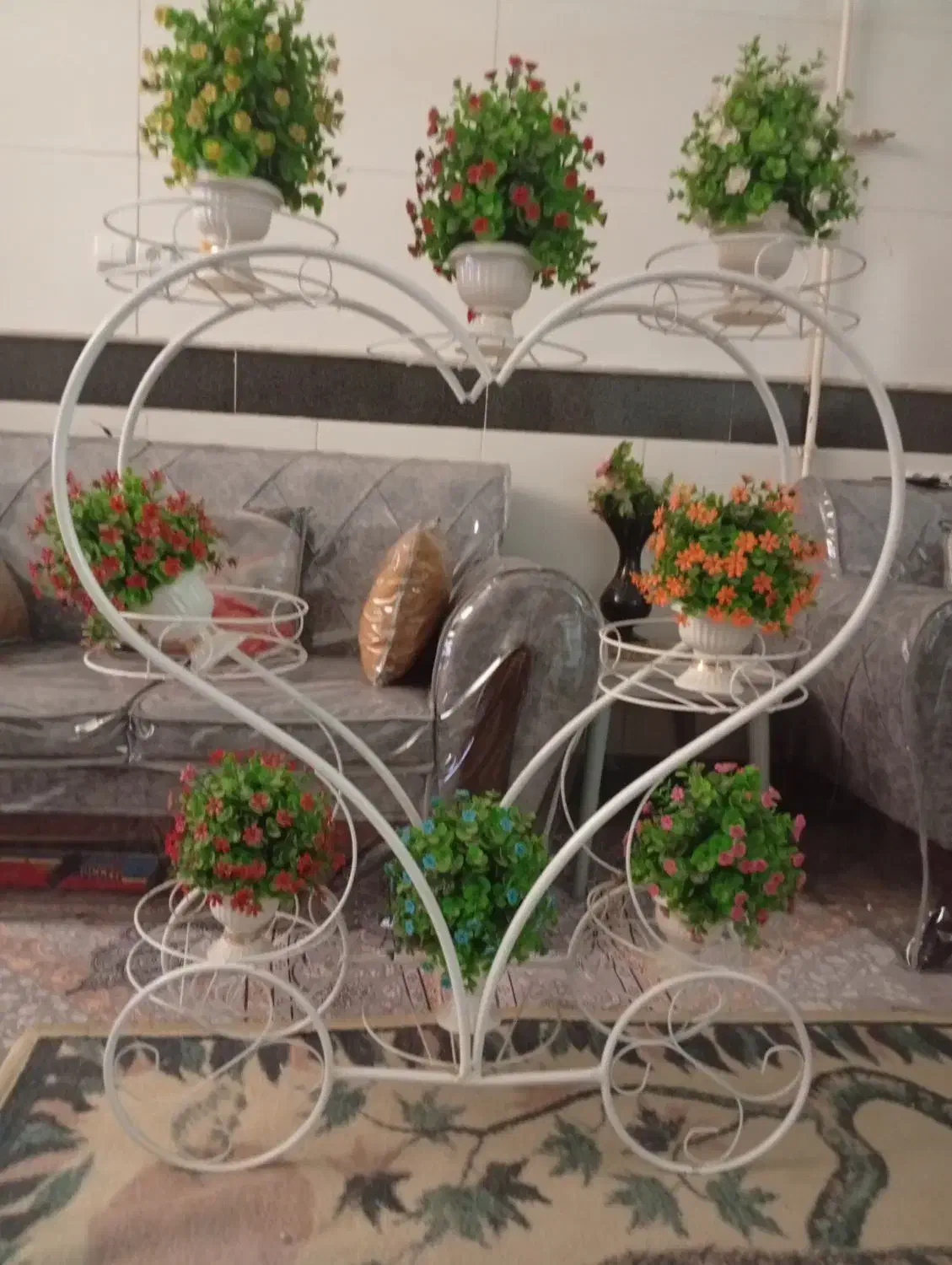 استندگل|گل و گیاه طبیعی|قم, امامزاده ابراهیم|دیوار