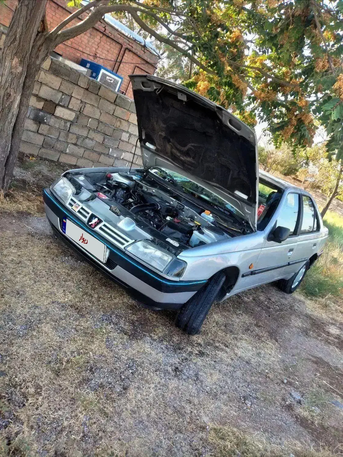 پژو ۴۰۵ مدل ۹۶|خودرو سواری و وانت|بناب, |دیوار