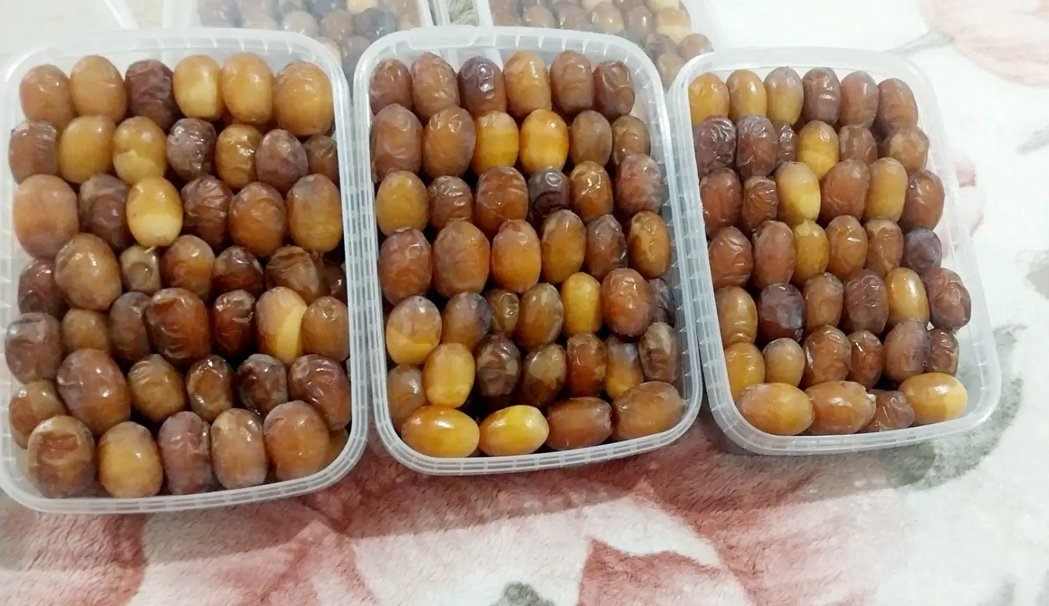 رطب|خوردنی و آشامیدنی|جم, |دیوار