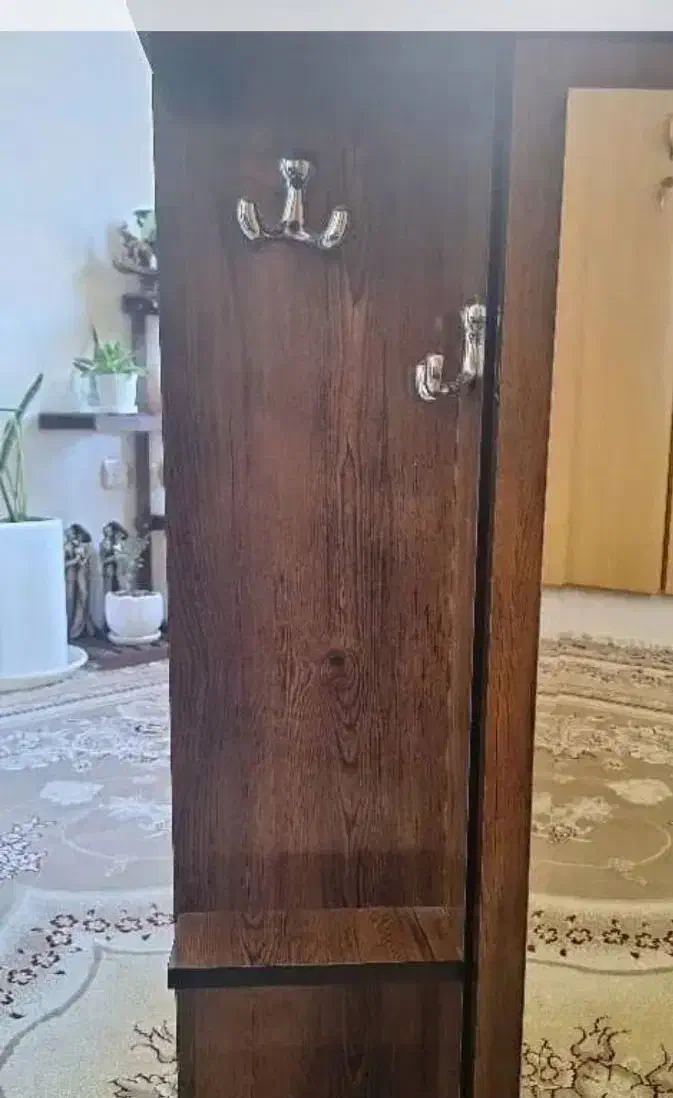 آینه ریلی|آینه|شیراز, دلجو|دیوار