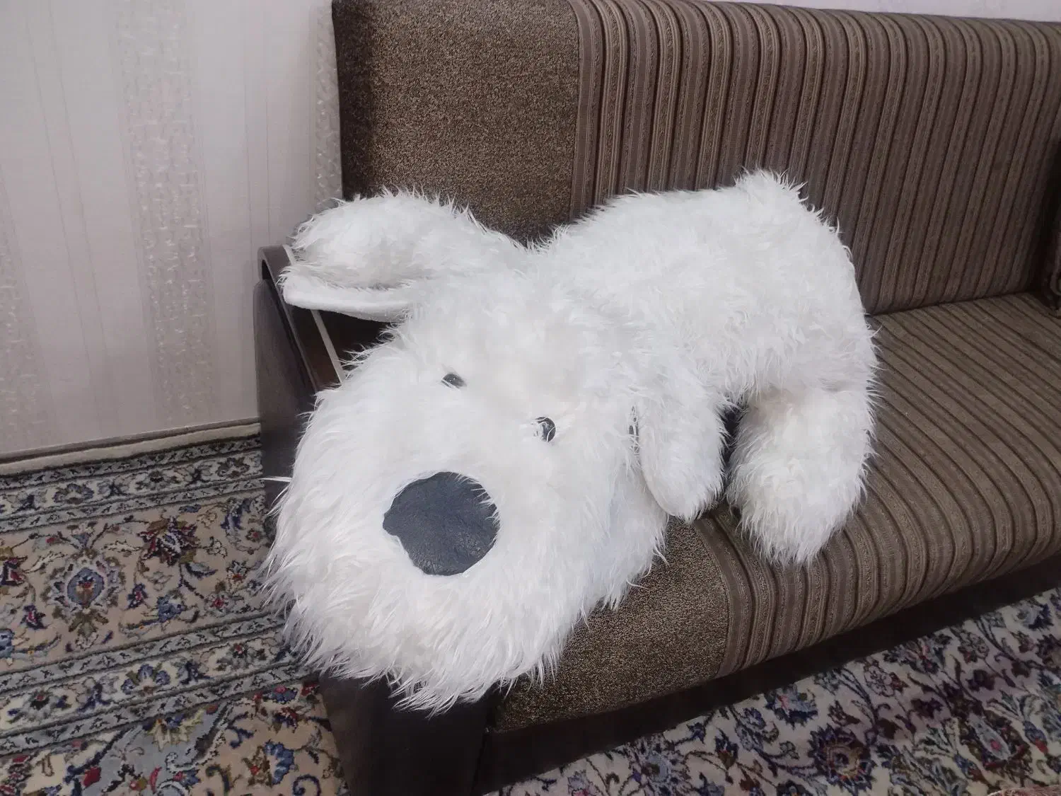 عروسک|اسباب‌بازی بچه|اندیشه, اندیشه فاز ۱|دیوار