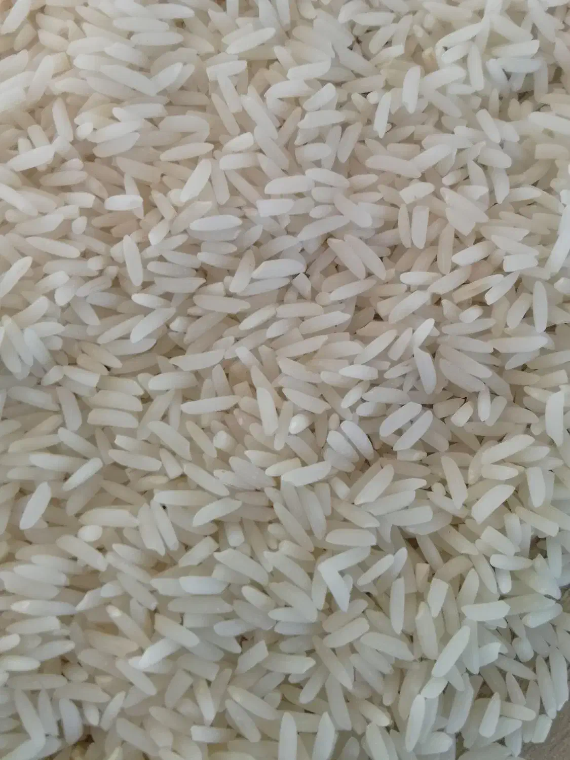 برنج هاشمی بشرط پخت درجه یک|خوردنی و آشامیدنی|رشت, حافظ آباد|دیوار