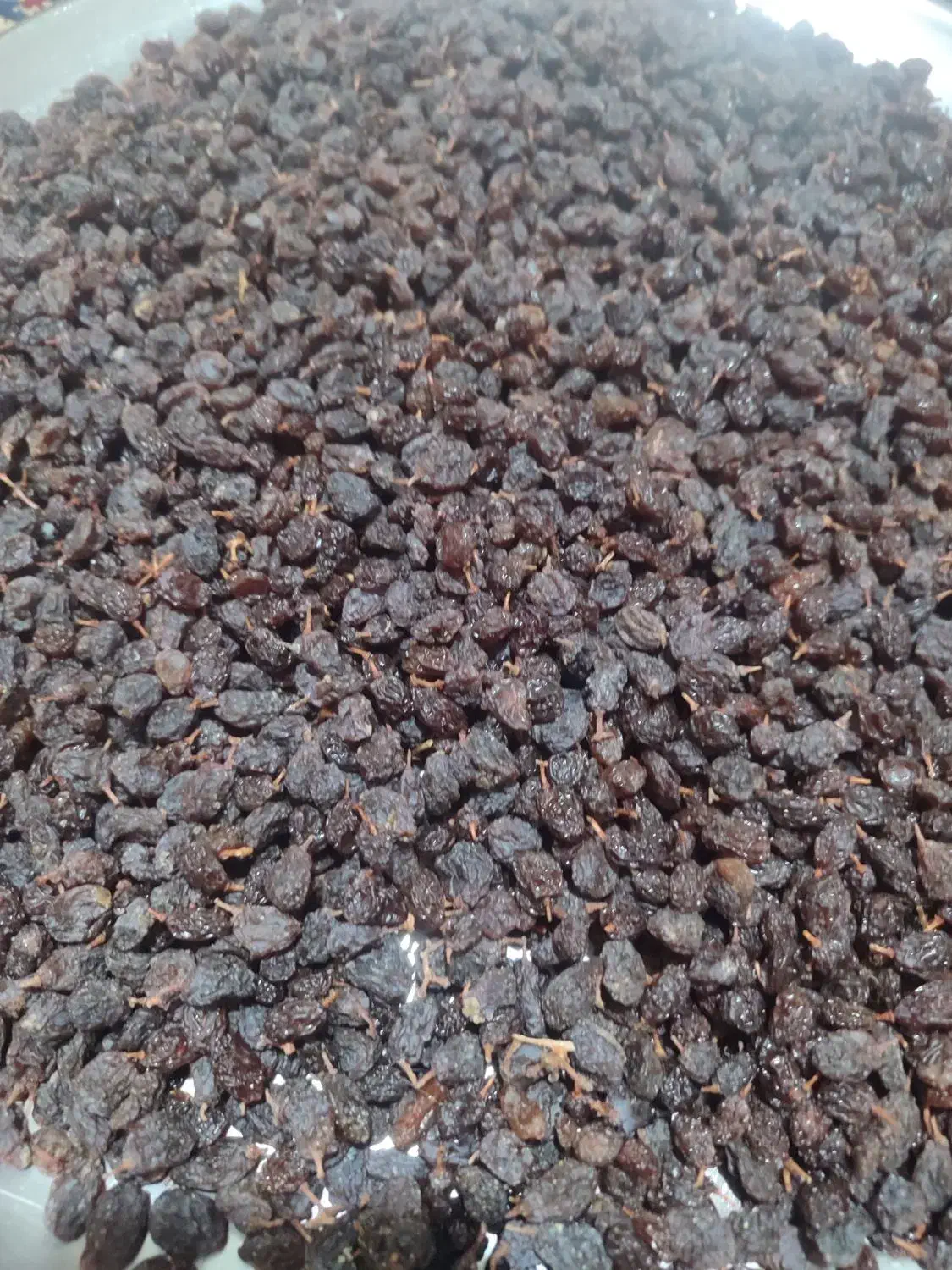 فروش کشمش|خوردنی و آشامیدنی|میاندوآب, |دیوار