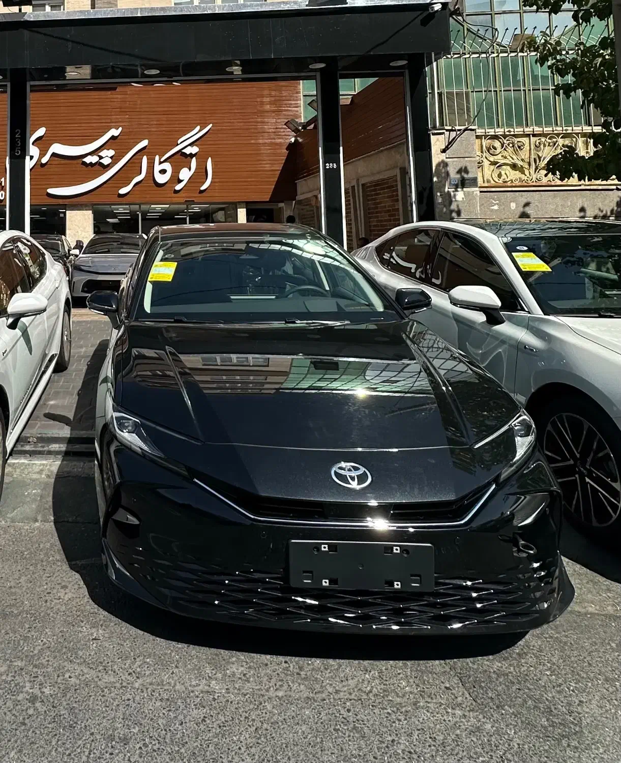 تویوتاکمری هیبرید چین ۲.۵ مدل ۲۰۲۵|خودرو سواری و وانت|تهران, درختی|دیوار