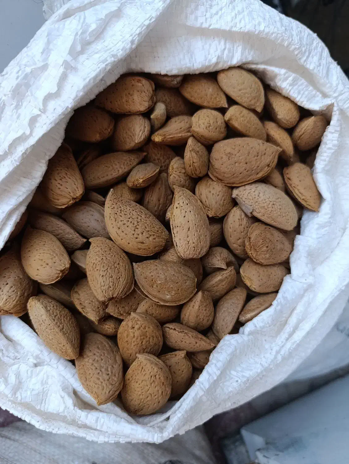 فروش بادام شیرین|خوردنی و آشامیدنی|شیراز, دوکوهک|دیوار