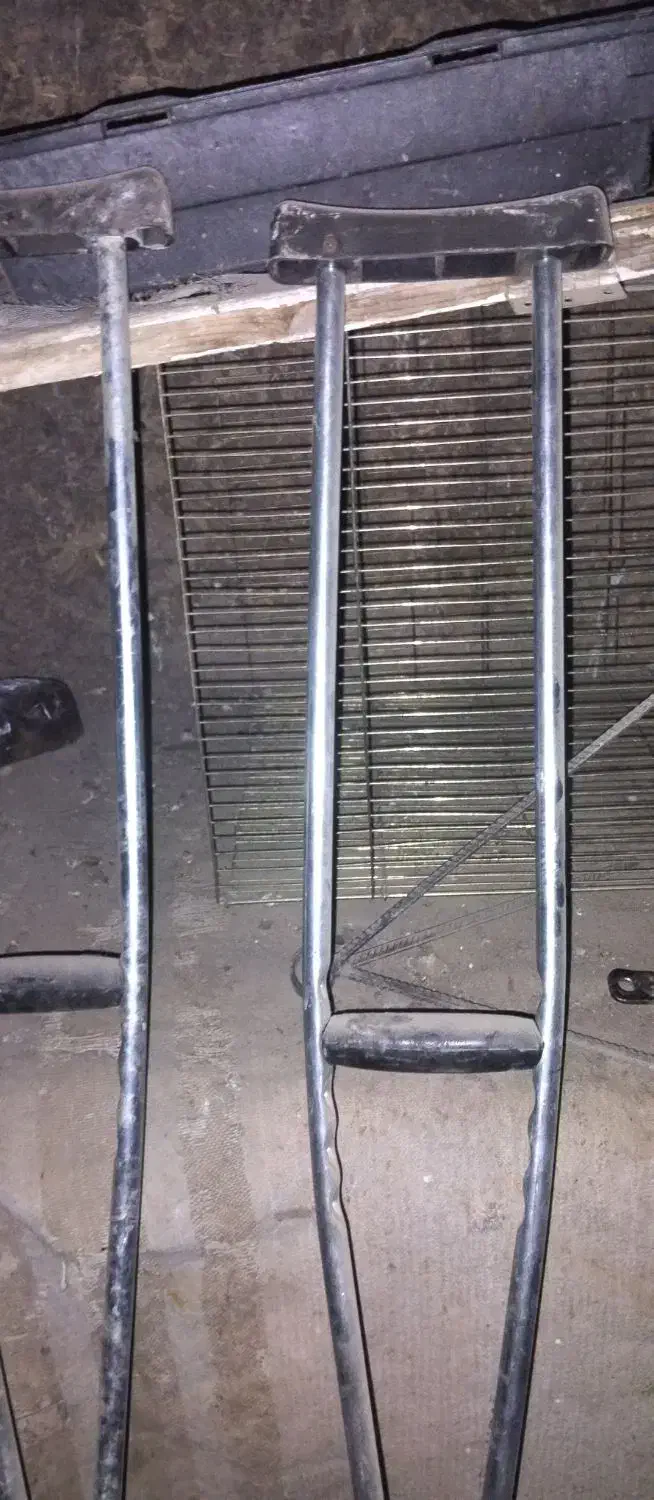 عصا جنس خوب|پزشکی|بیرجند, |دیوار