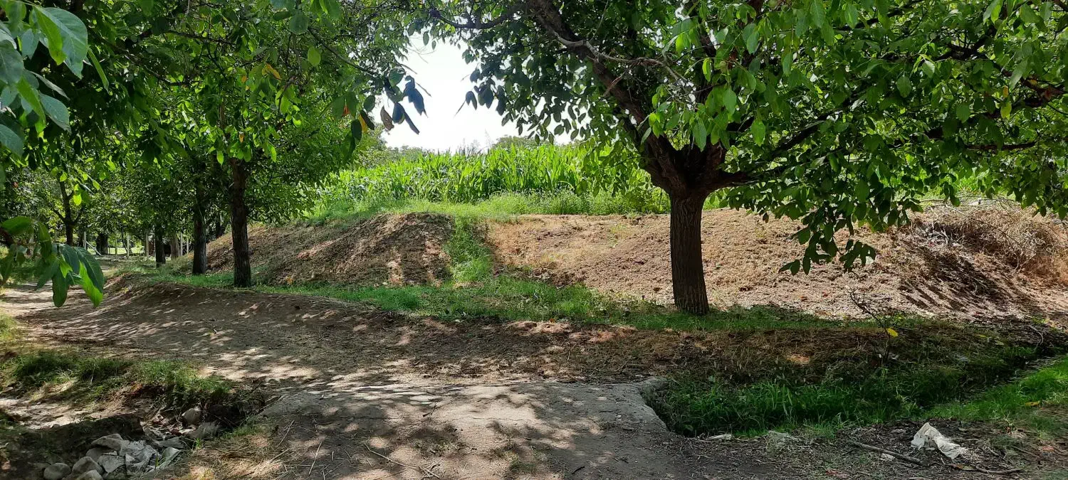 فروش باغ عجب شیر روستای محمود آباد|فروش خانه و ویلا|عجب شیر, |دیوار