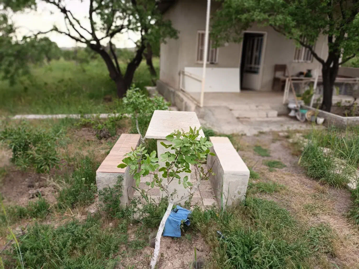 باغ شفیع اباد|فروش زمین و ملک کلنگی|قزوین, |دیوار