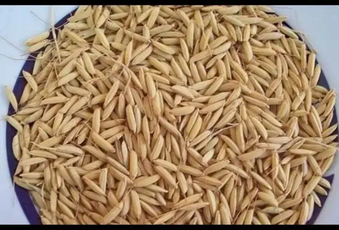 چمپای درجه یک لوداب|خوردنی و آشامیدنی|لوداب, |دیوار