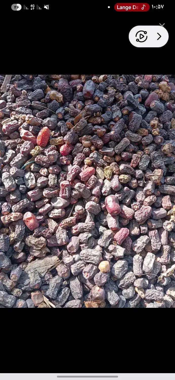 خریدار (پون) ضایعات خرما|خدمات پیشه و مهارت|مهرستان, |دیوار