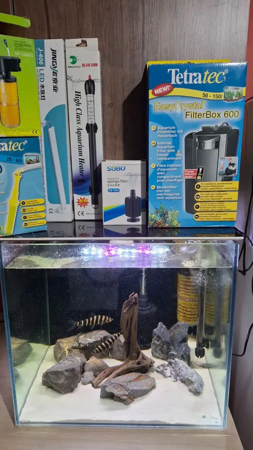 آکواریوم با کلیه تجهیزات|ماهی|ارومیه, |دیوار