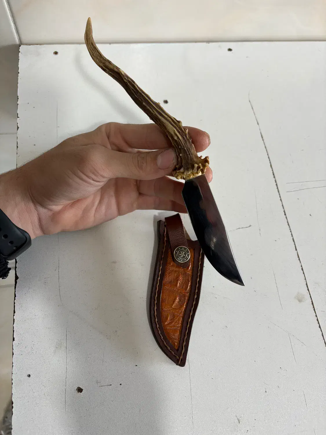 کارد کلکسیونی|کلکسیون اشیاء عتیقه|گرگان, |دیوار