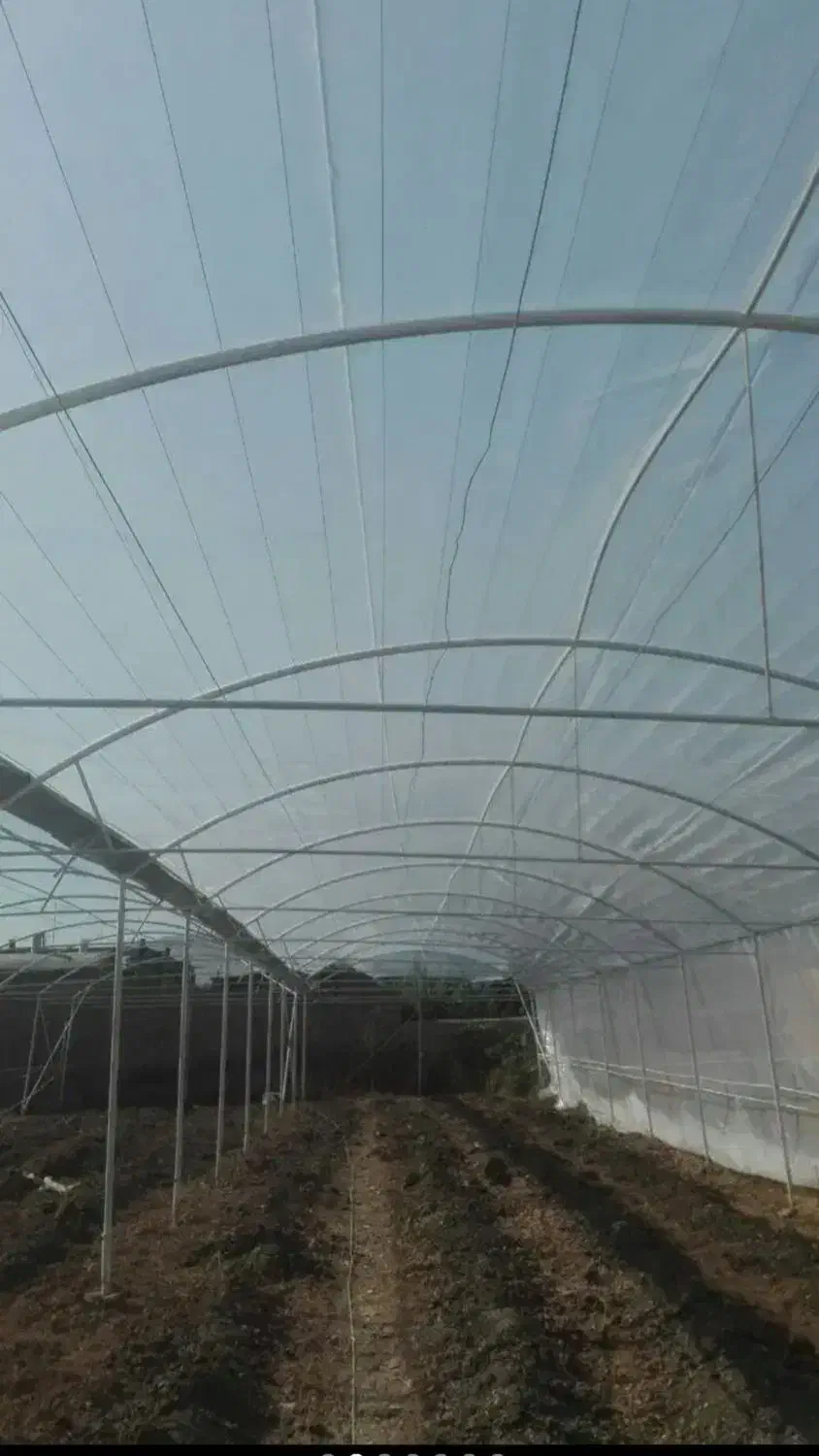 میله و سازه گلخانه|مصالح و تجهیزات ساختمان|تهران, صادقیه|دیوار