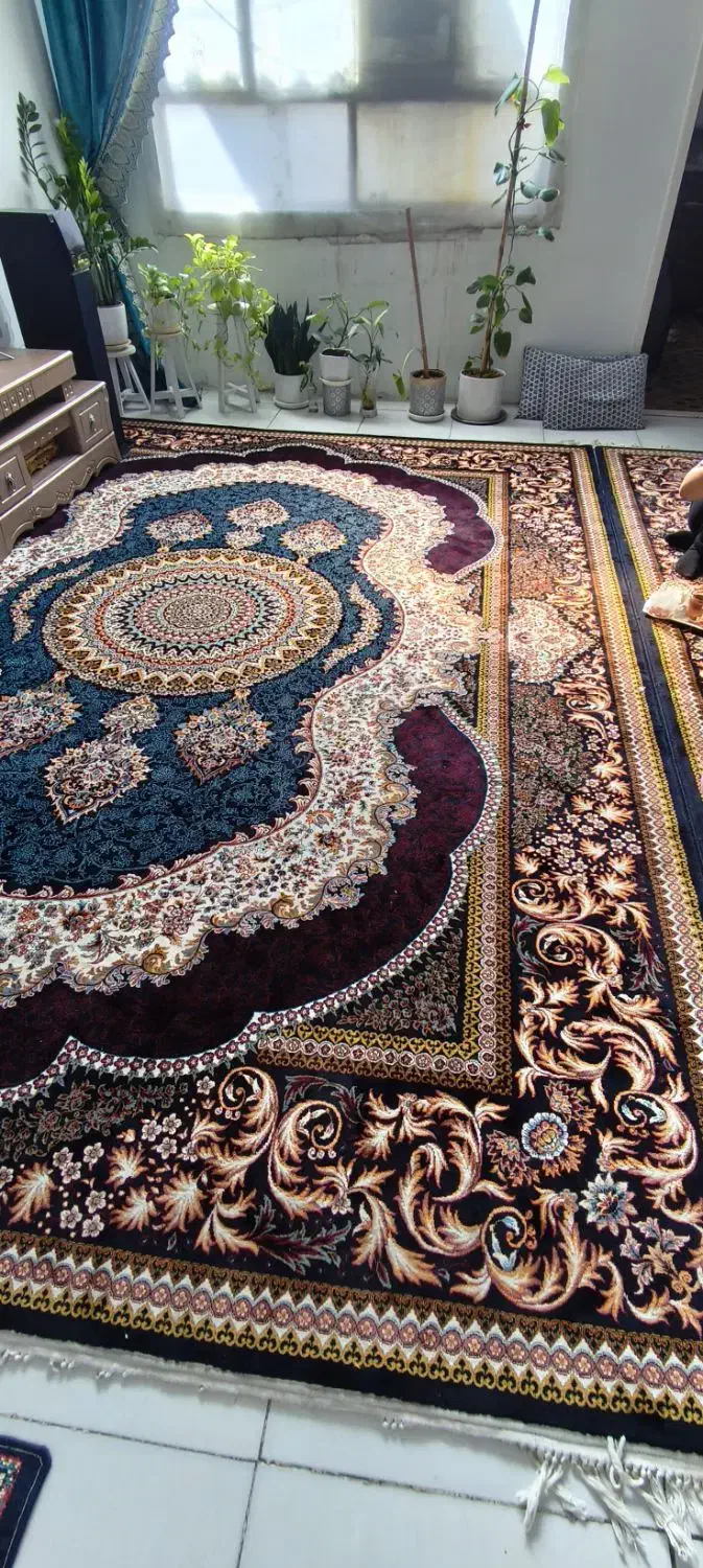 فرش ۱۲ متری|فرش|مشهد, رضاییه|دیوار