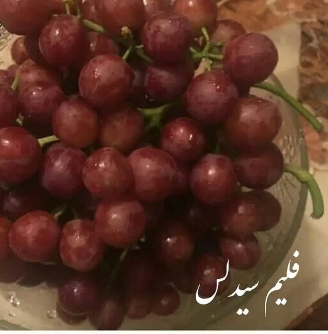 نهال انگور بی دانه|گل و گیاه طبیعی|شهریار, شهرک بهاران (ویره)|دیوار