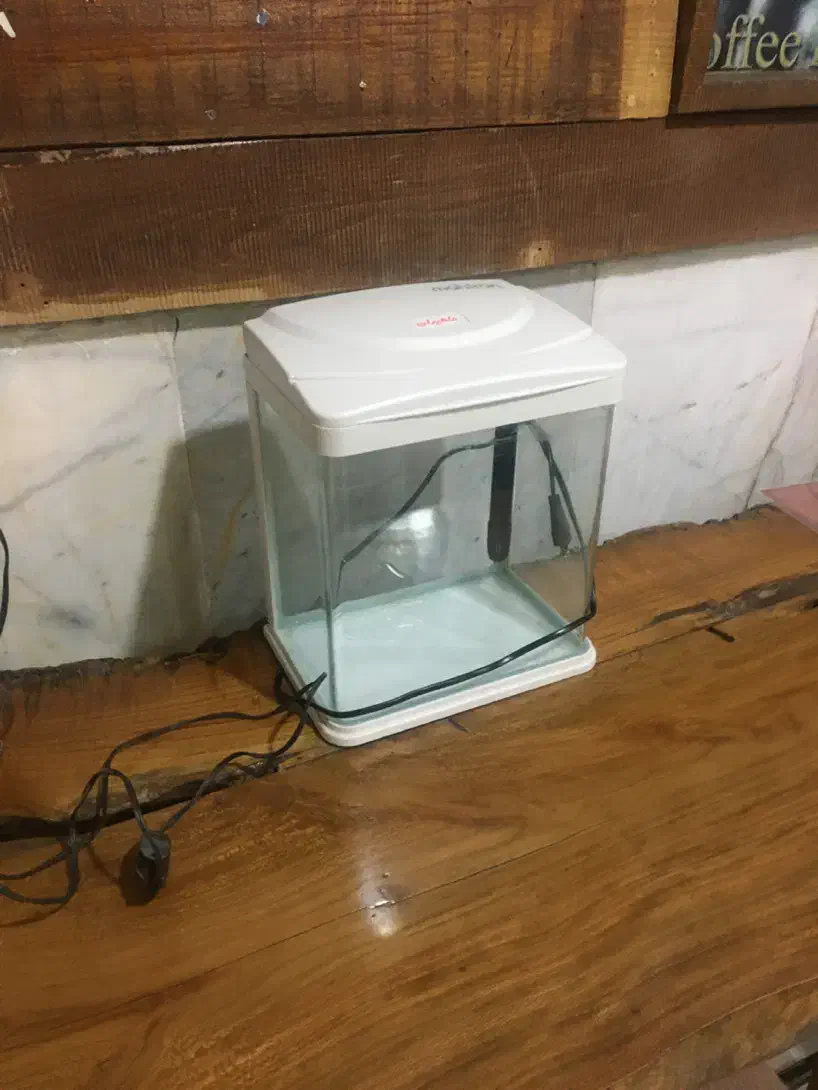 اکواریم فروشی در حد نو|ماهی|بجنورد, |دیوار