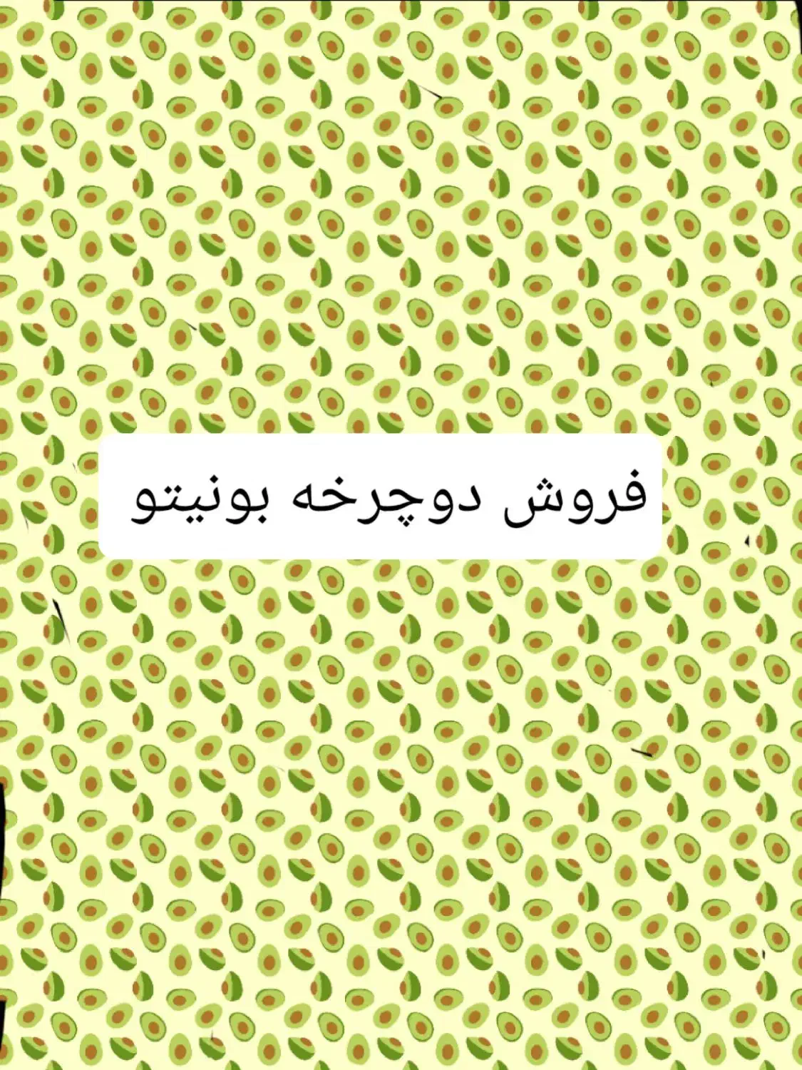 دو چرخه سایز ۱۶|دوچرخه، اسکیت، اسکوتر|کارون, |دیوار