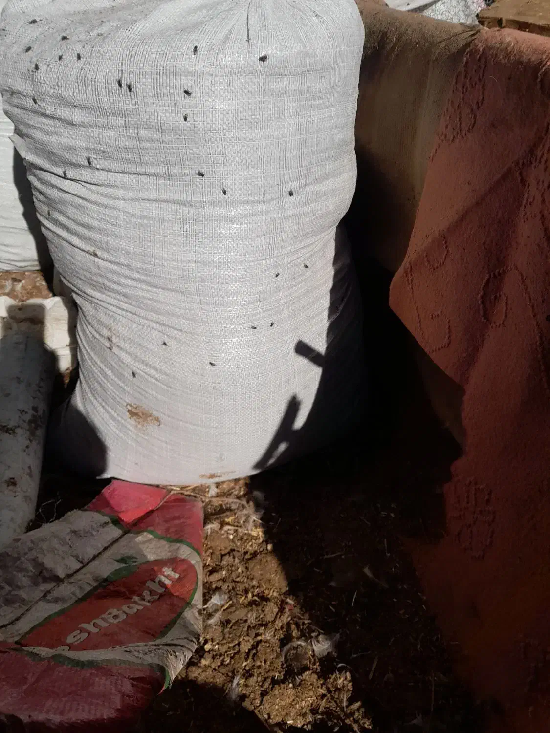 کود گوسفندی خالص خشک شده کیسه زده|لوازم جانبی حیوانات|بهنمیر, |دیوار