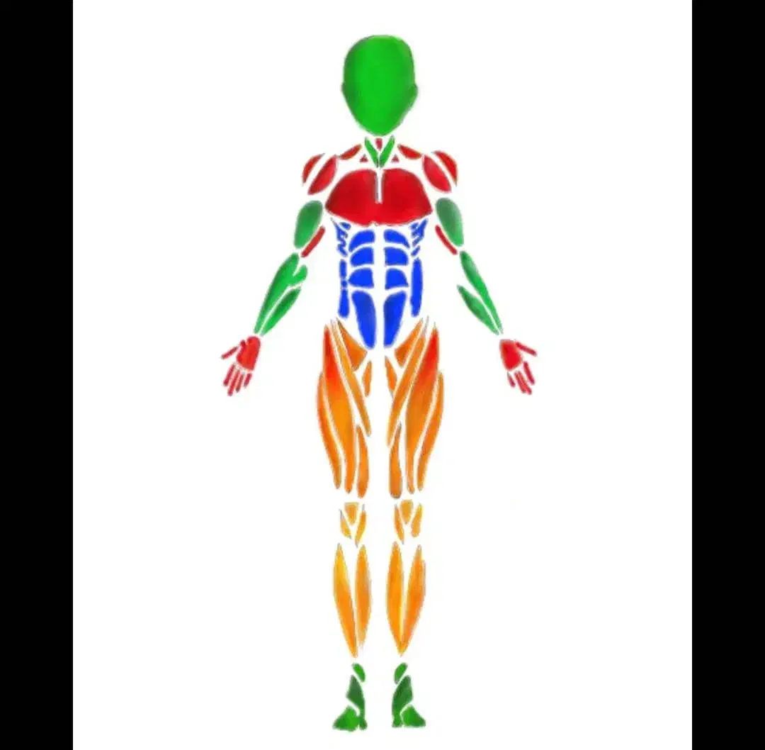 ماساژ، درمان، سلامتی|خدمات آرایشگری و زیبایی|قم, چهل درخت|دیوار