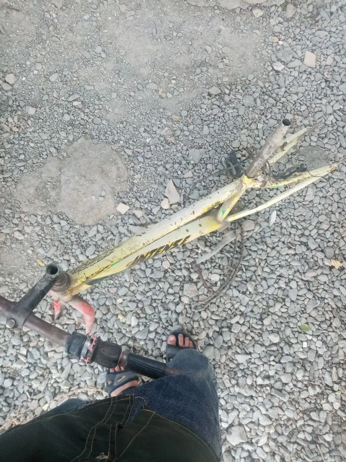 همین عکسی که هست  مال اگهی است|دوچرخه، اسکیت، اسکوتر|کهنوج, |دیوار