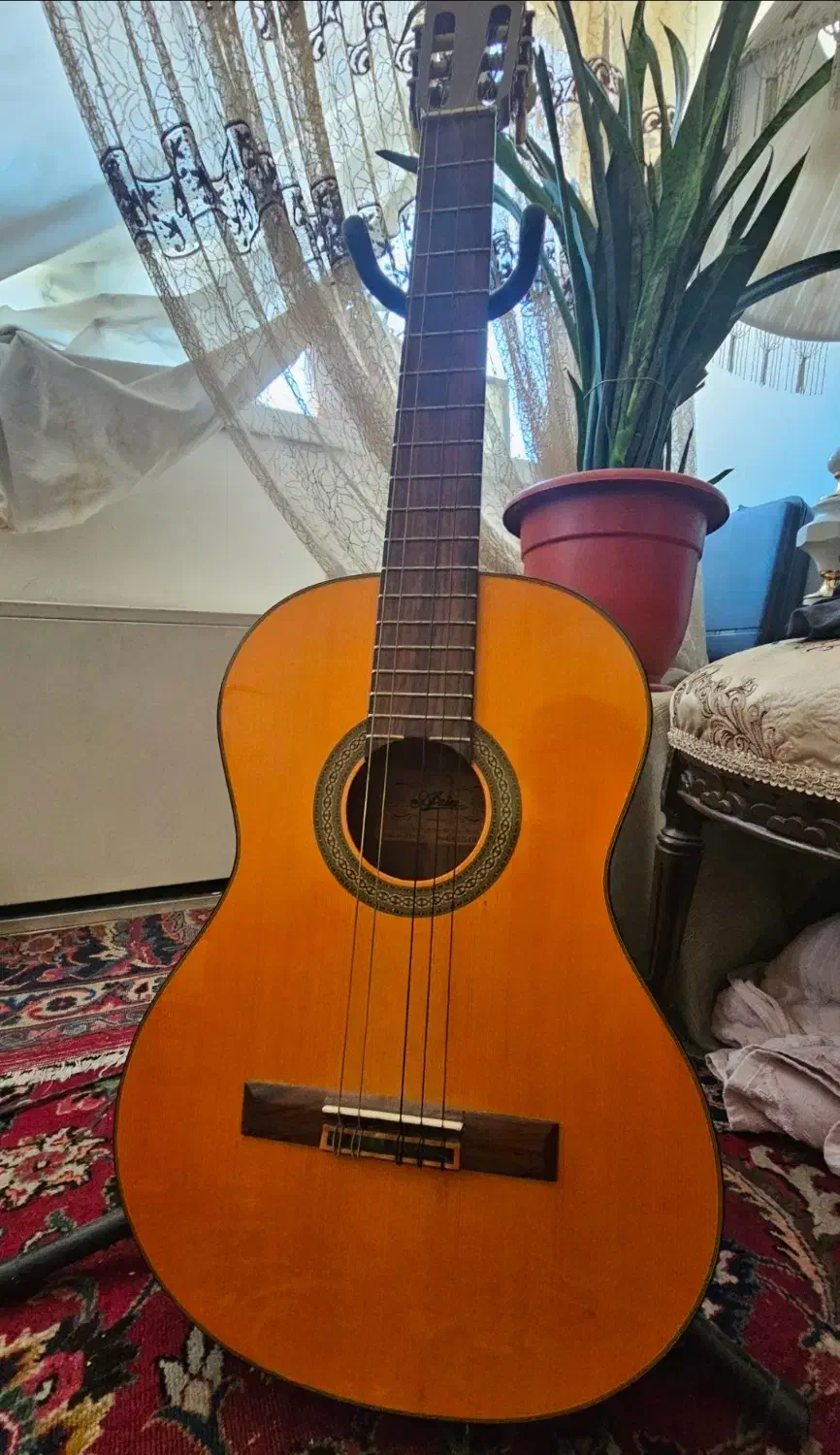 گیتار آریا Ak30|گیتار، بیس، امپلیفایر|تهران, اکباتان|دیوار