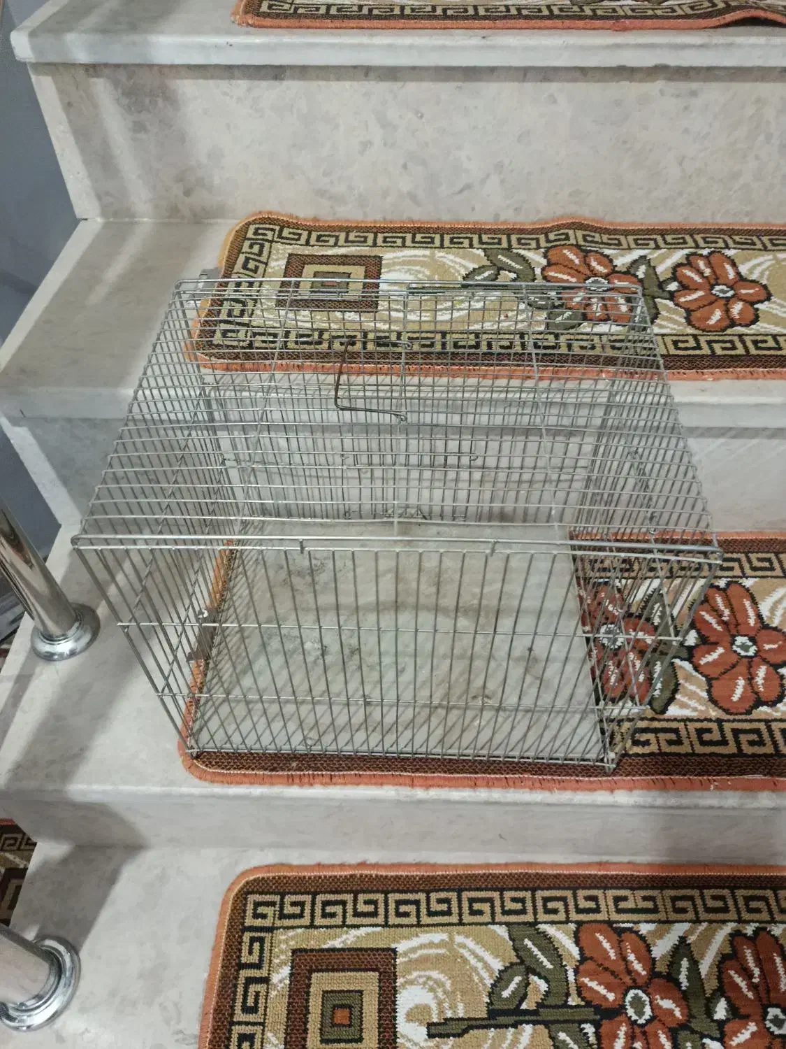 قفس|لوازم جانبی حیوانات|بهارستان, |دیوار