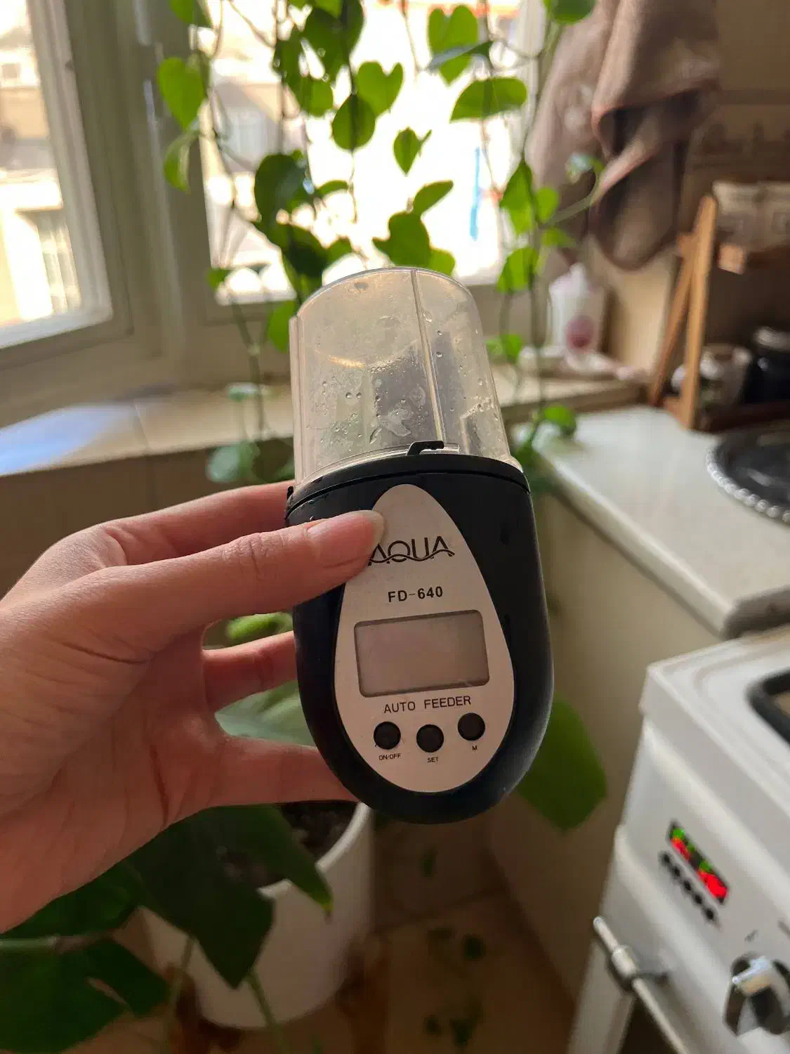 غذاریز|ماهی|تهران, نیروی هوایی (پیروزی)|دیوار