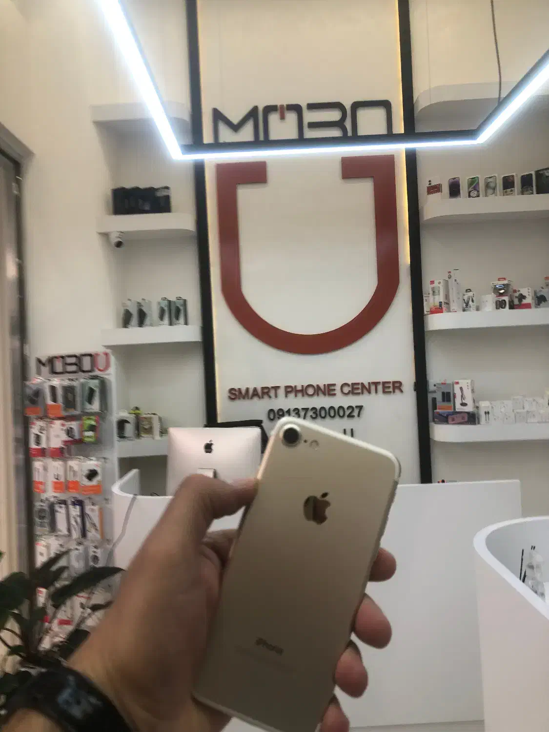 Iphone 7 آیفون 7گلد 128گیگ بدون نقطه|موبایل|اصفهان, باغ نگاره|دیوار