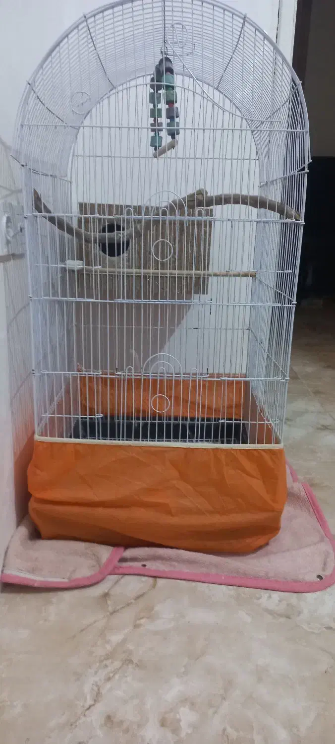 قفس|لوازم جانبی حیوانات|محمدیه-قزوین, |دیوار